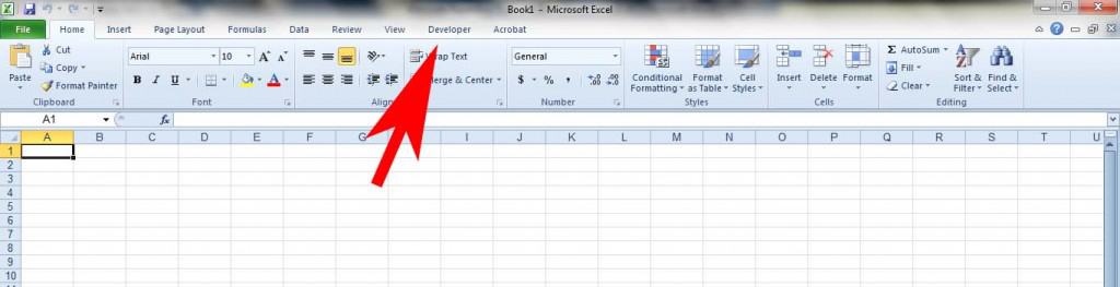 Developer tab on Excel Ribbon