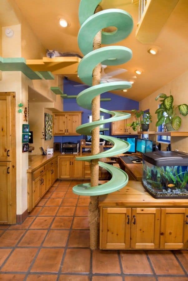 CatHouse1