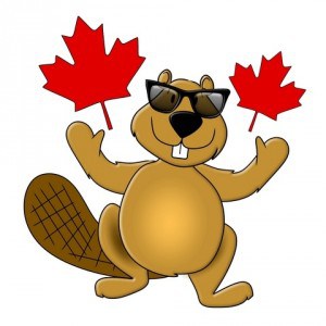 canada real estate blogging