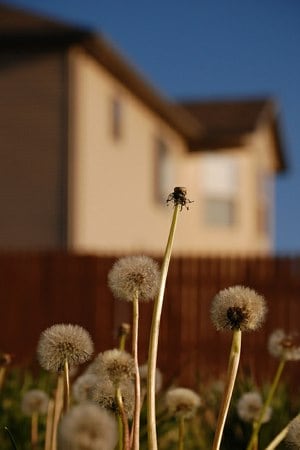 foreclosure spike in May