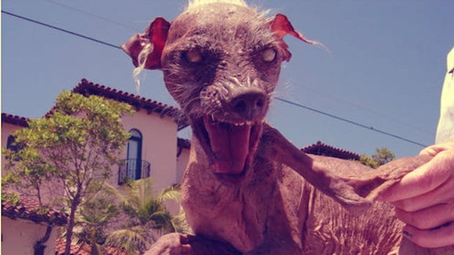 7 Things That Make You Look Ugly as a Real Estate Investor