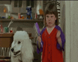20 Things Only BiggerPockets Forum Users Will Understand 11 wife's reaction