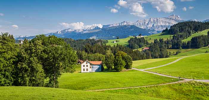 4 Risks & Drawbacks to USDA Home Loans