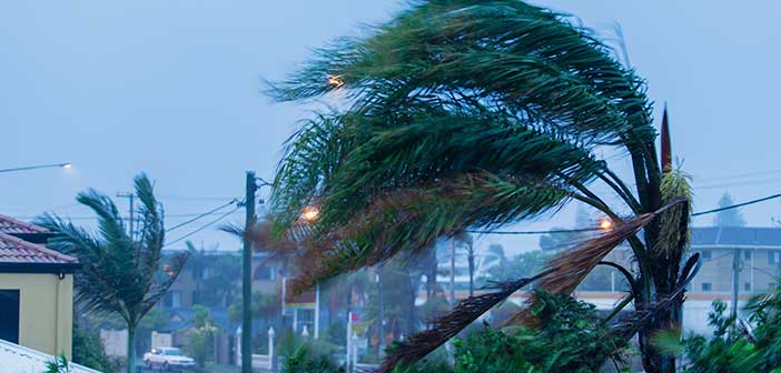 hurricane-ready