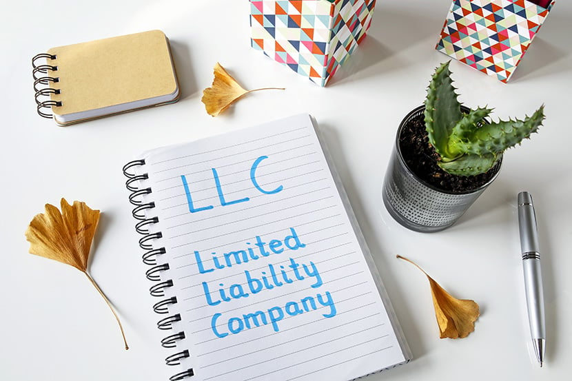 LLC written in blue marker on a spiral notebook laying on desk with small potted plant and other desk decor