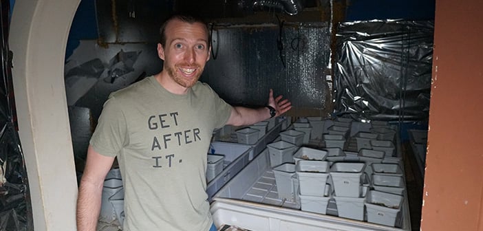 Property Walk-Through: Illegal Marijuana Grow House Fix & Flip