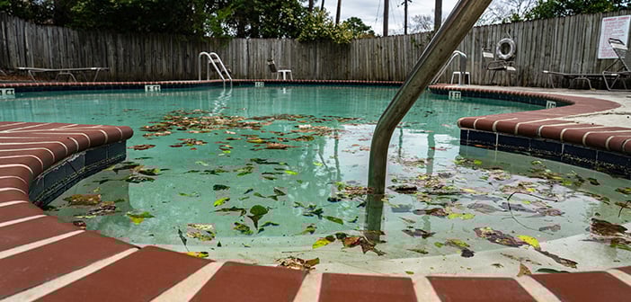 dirty pool sits covered with leaves