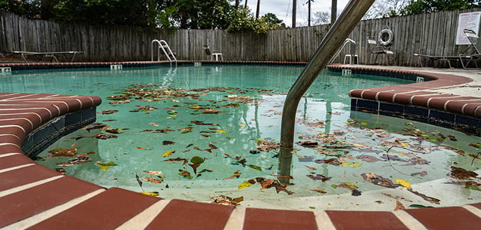 Dirty pool sits unattended covered in leaves