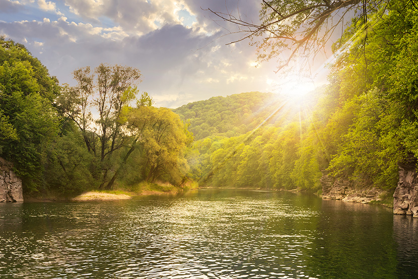 The Best Real Estate Investors Are Like a River (Not a Swamp)—Here’s What I Mean