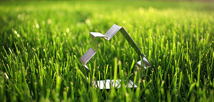 metal cookie cutter in the shape of a house placed in grass