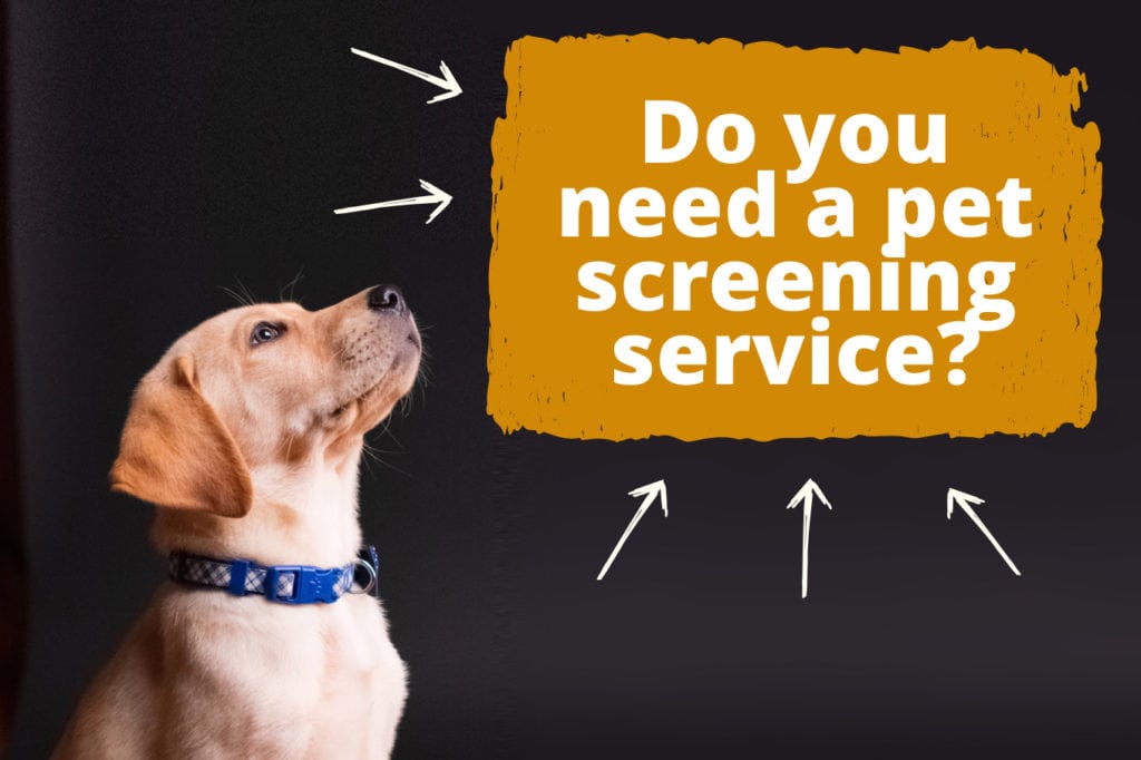 Pet Screening for Landlords Laws and Best Practices