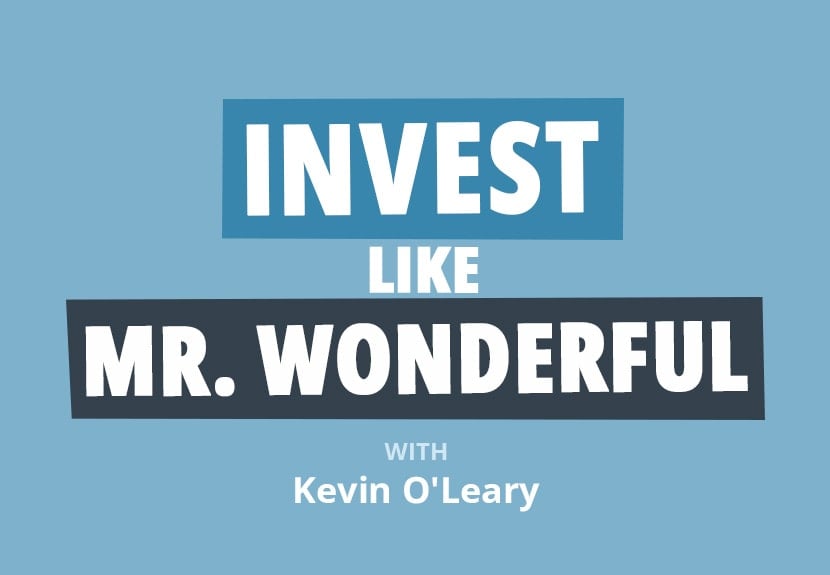 Kevin O'Leary: Ultimate Investing Advice from Mr. Wonderful