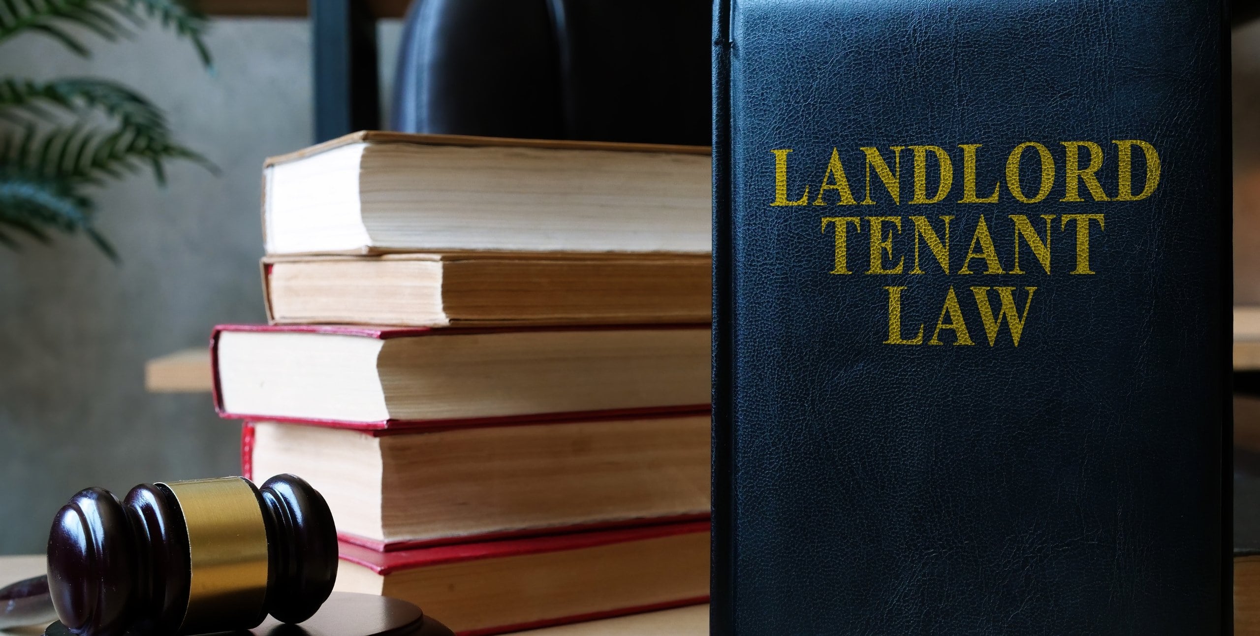 eviction moratoriums and landlord-tenant laws