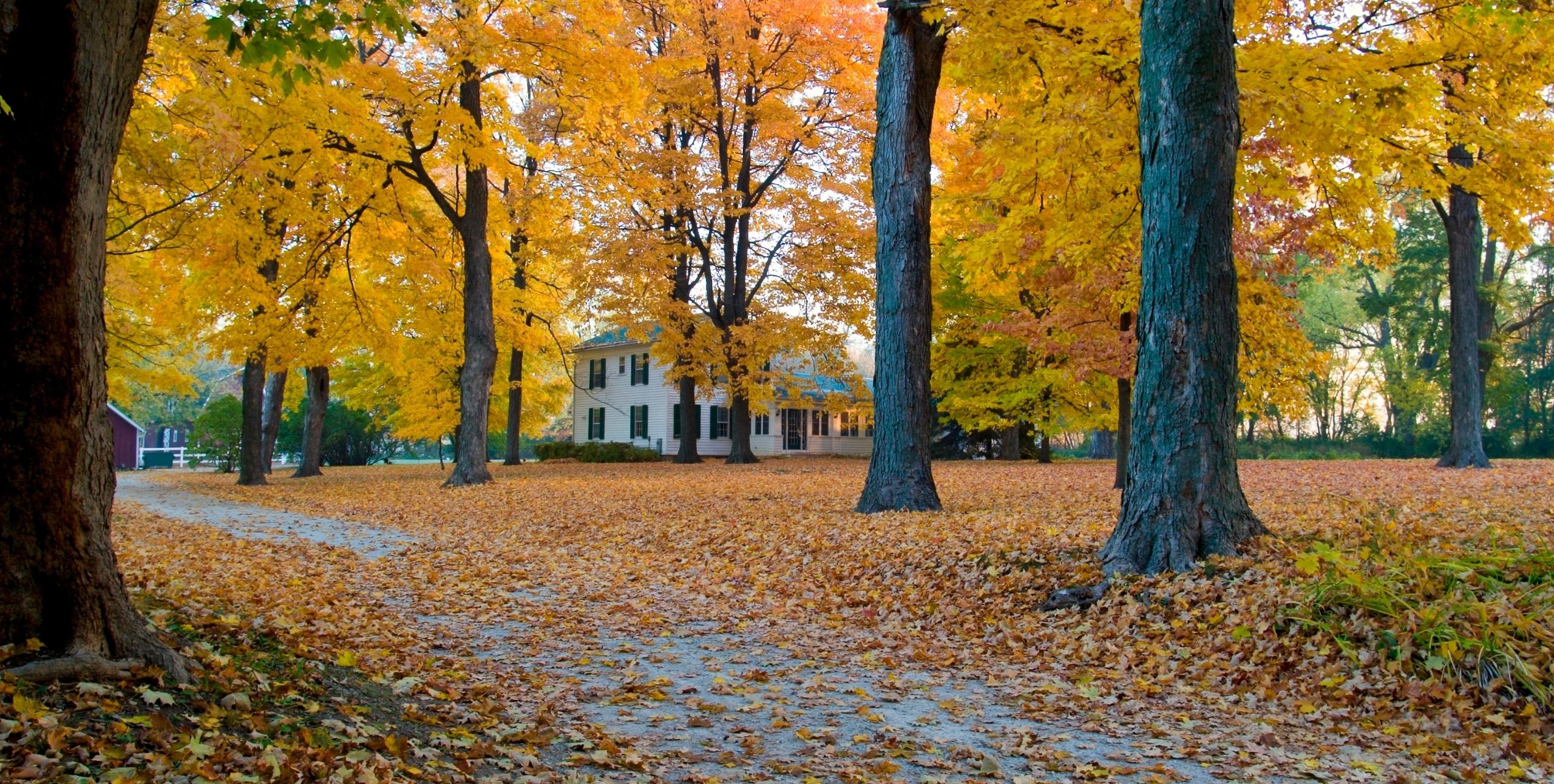house in the fall