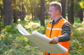 Investing in Forest Land: Is It a Good Opportunity?