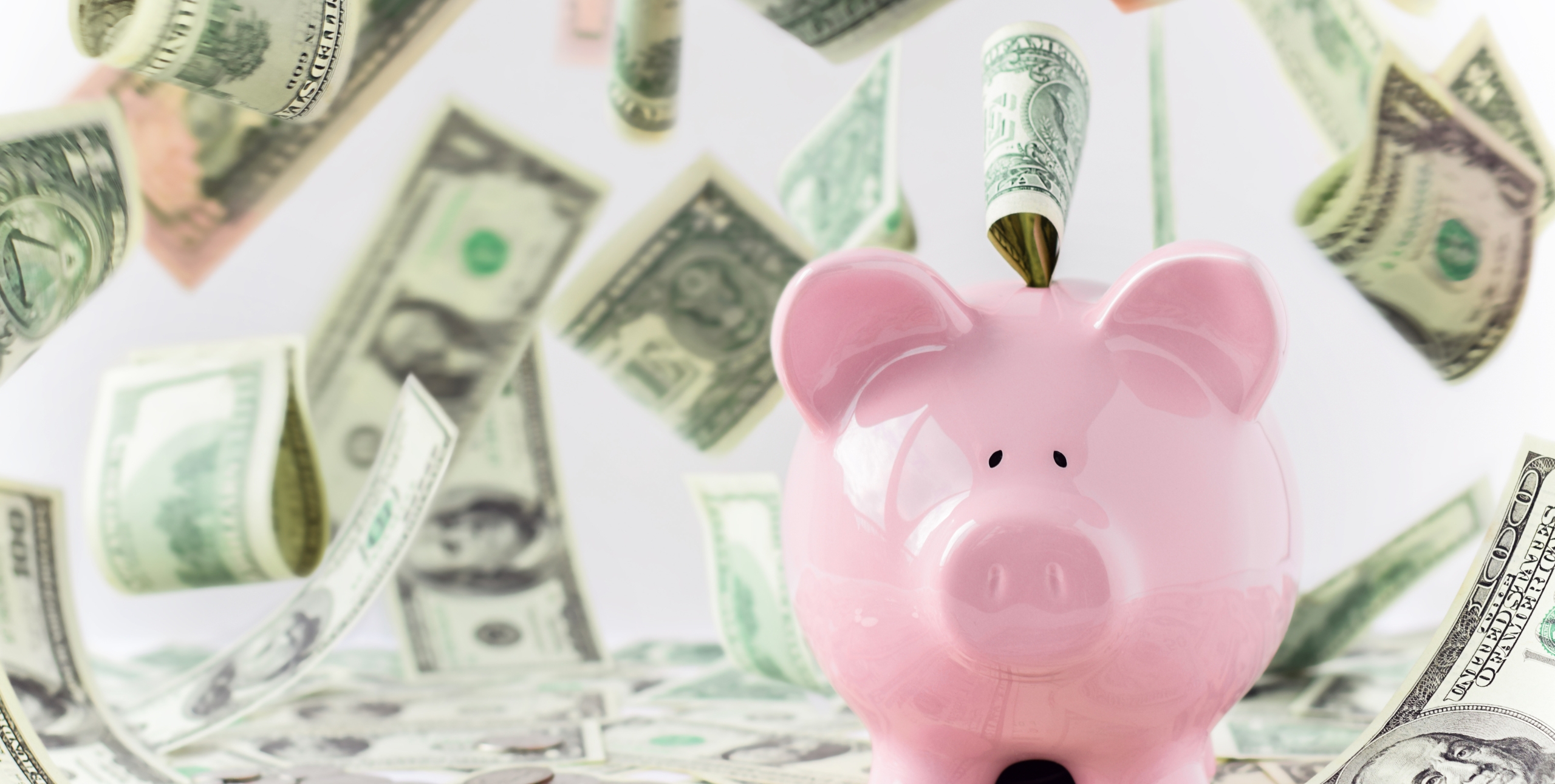 piggy bank with money