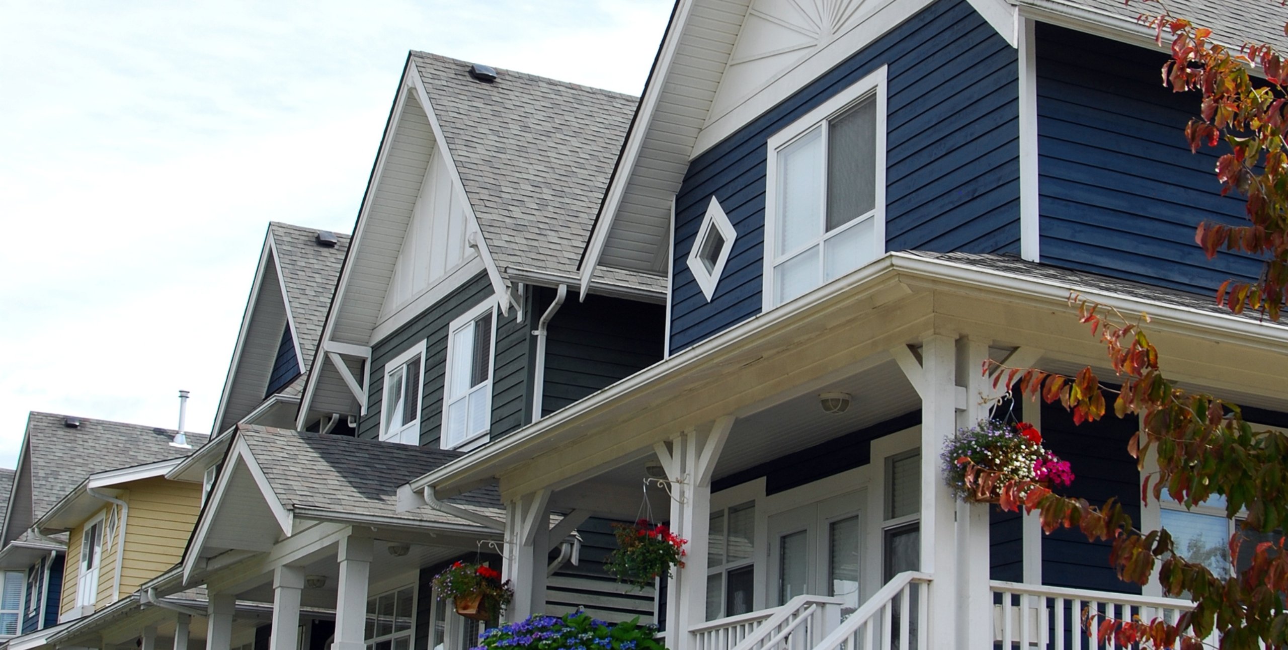 blue homes