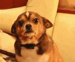 when my wife yells at me in a public place