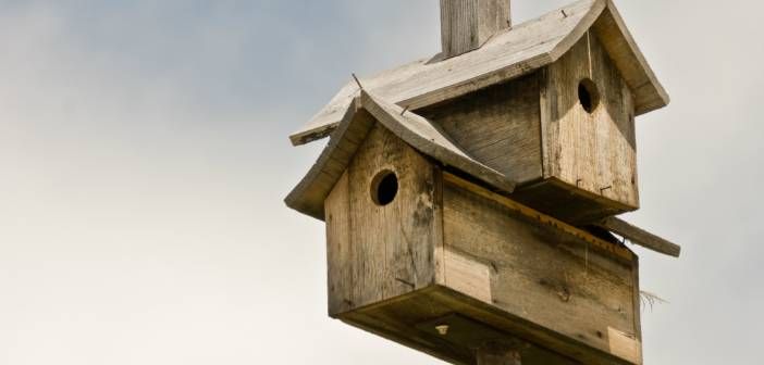 Here's a Good Way to Start with Multifamily If You Are Too Nervous to "Go Big"